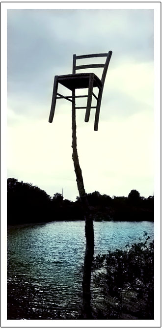 Version 2015 CHAIRWOOD3